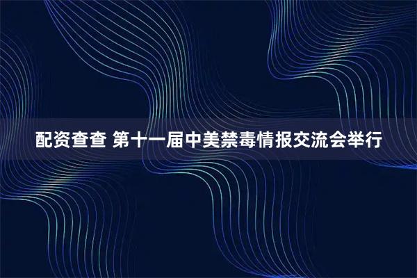 配资查查 第十一届中美禁毒情报交流会举行